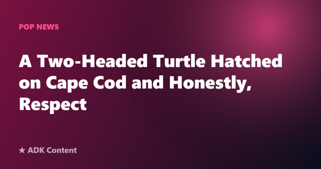 A Two-Headed Turtle Hatched on Cape Cod and Honestly, Respect